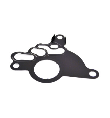 Vacuum pump gasket WRC 9100006