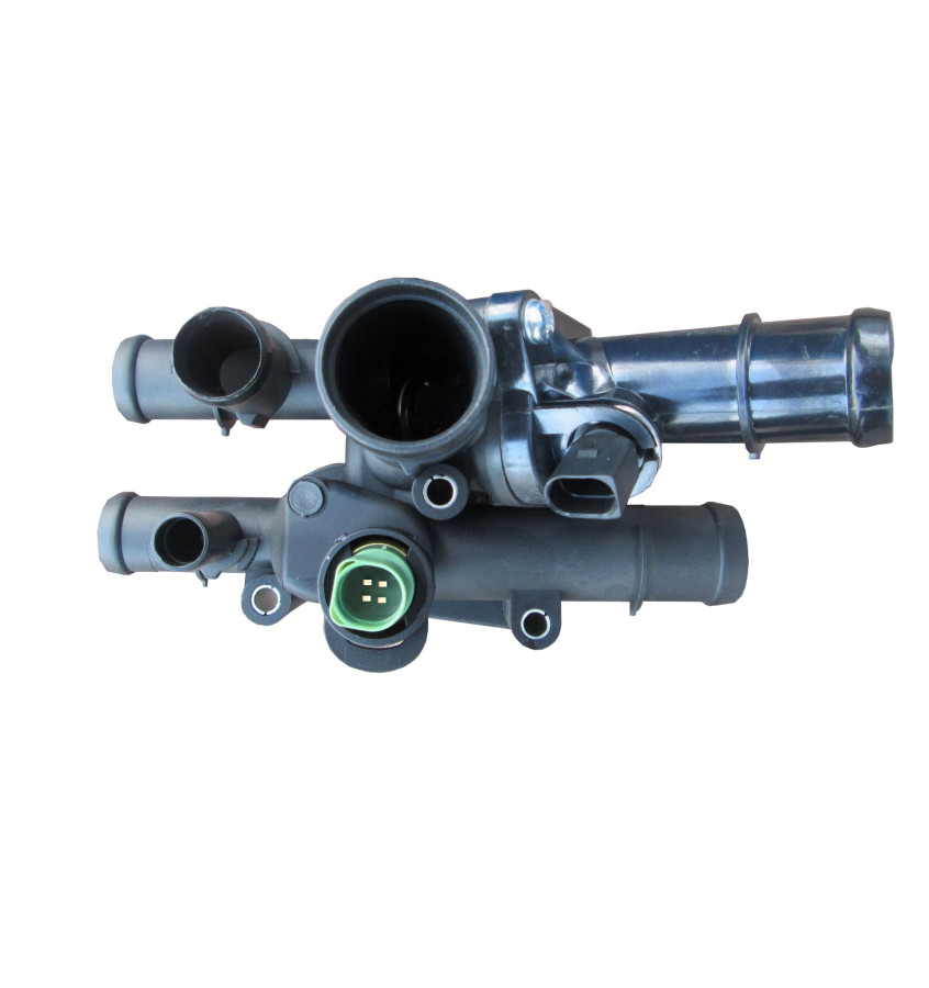 Termostat z obudową 50031