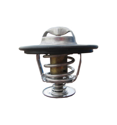 Thermostat WRC 5000038