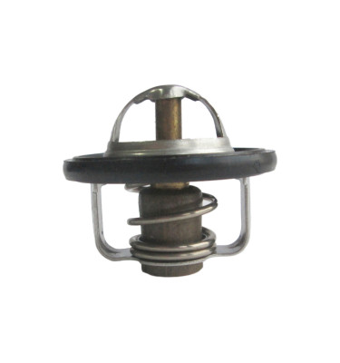 Termostat z obudową 50039