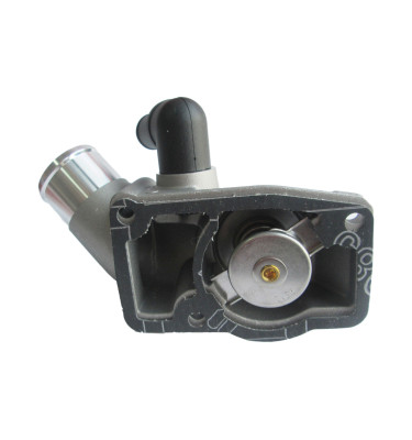 Termostat z obudową 50005