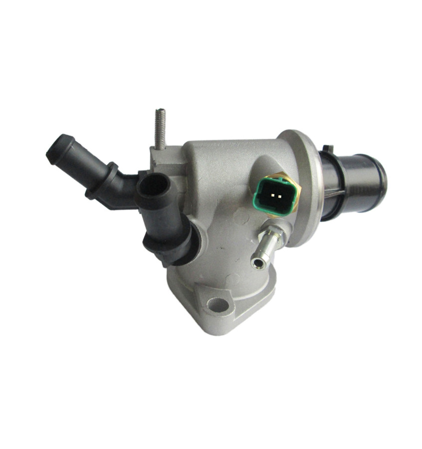 Termostat z obudową 50007