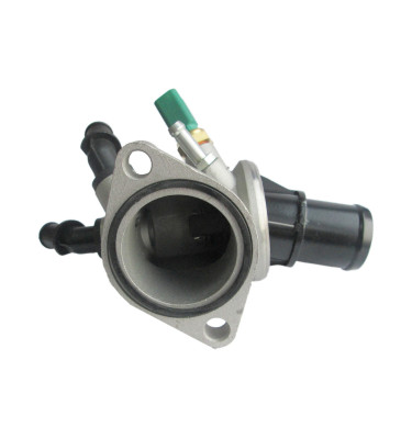 Termostat z obudową 50007