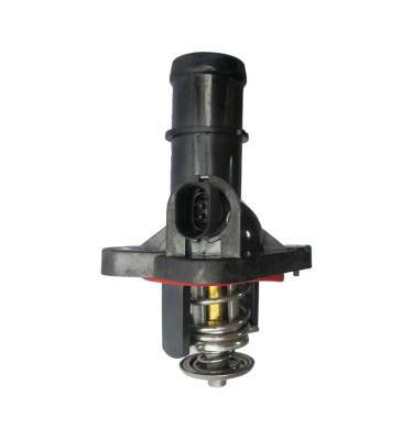 Termostat z obudową 50012