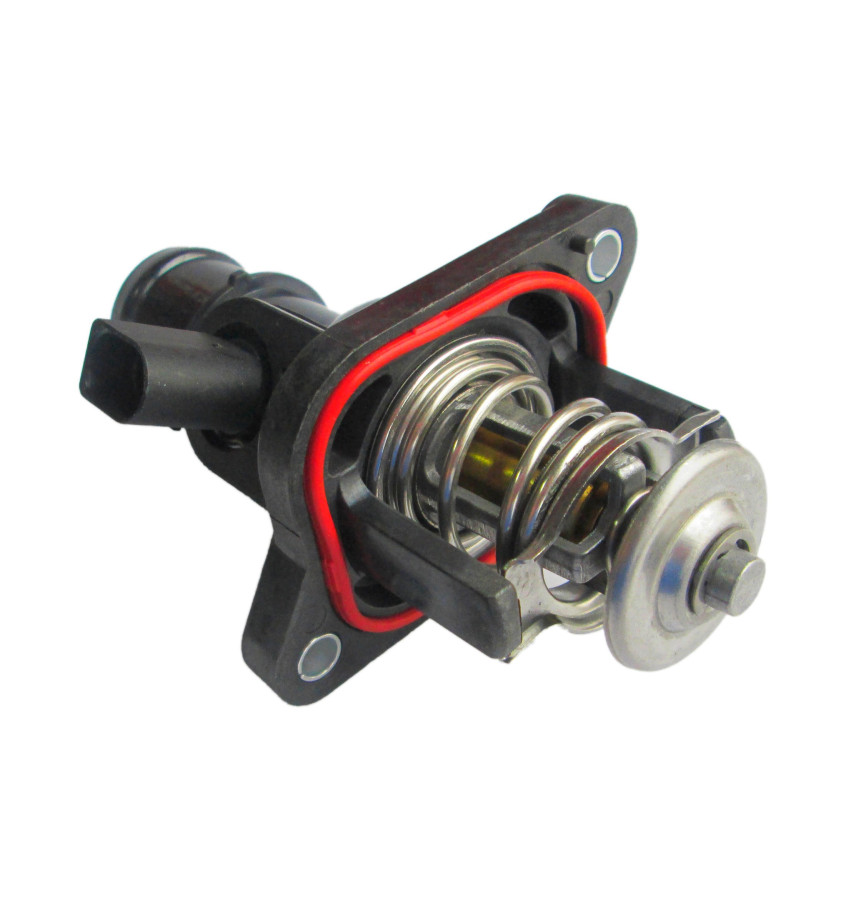 Termostat z obudową 50012