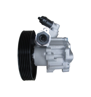 Servolenkungspumpe WRC 4900813