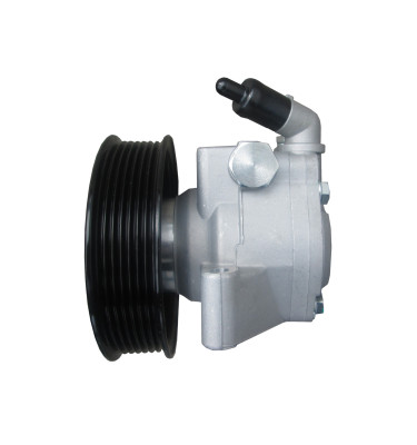 WRC Servolenkungspumpe 4902370