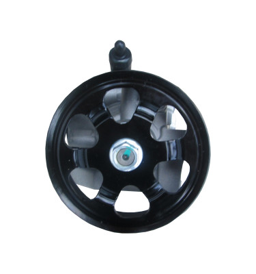 Pompa wspomagania układu kierowniczego WRC 491619