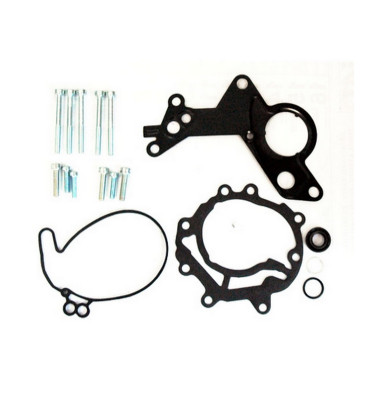 Vakuumpumpen-Dichtungssatz WRC 9191111