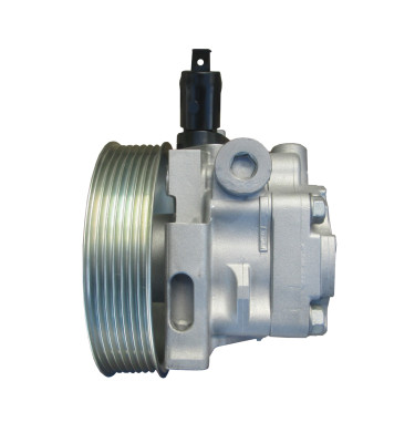 WRC Servolenkungspumpe 4909002R - REGENERATED