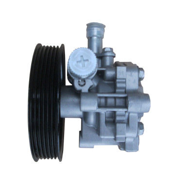 WRC Servolenkungspumpe 4902344R - REGENERATED