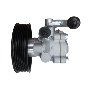 Servolenkungspumpe WRC 4901600R - REGENERATED