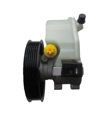 Power steering pump WRC 4901884