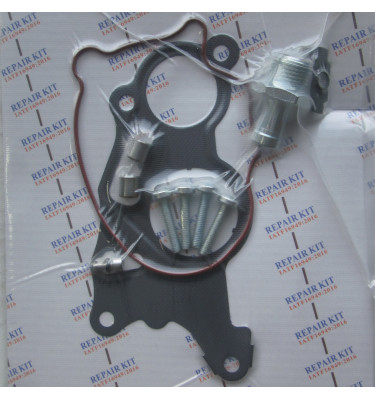 Sada těsnění vývěvy WRC 9191171