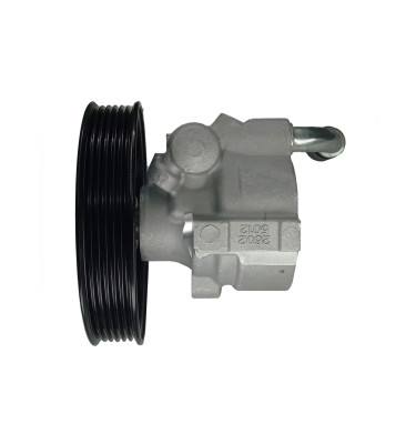 Servolenkungspumpe WRC 4900490R