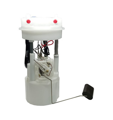 Komplette Kraftstoffpumpe WRC 6076453