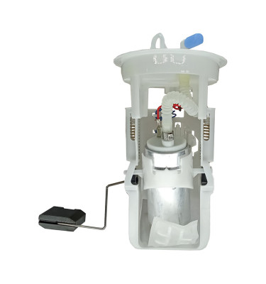 Komplette Kraftstoffpumpe WRC 6076543