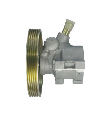 Servolenkungspumpe WRC 4900355