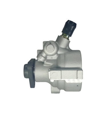 WRC Servolenkungspumpe 4906954