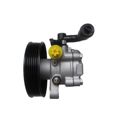 Servolenkungspumpe WRC 4900018