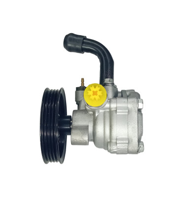 Power steering pump WRC 4902303