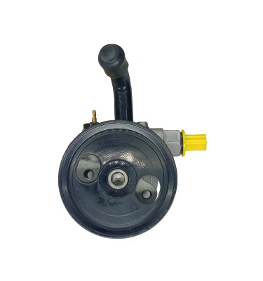Power steering pump WRC 4902303