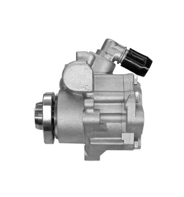 Servolenkungspumpe WRC 4901025