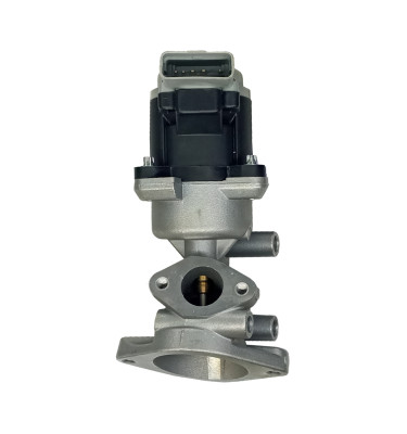 Zawór recyrkulacji spalin EGR WRC 88223