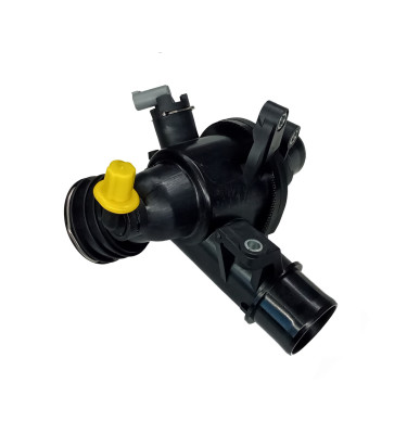 Termostat z obudową WRC 5000041