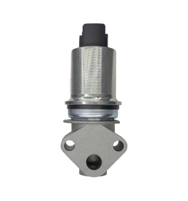 Zawór recyrkulacji spalin EGR WRC 88176