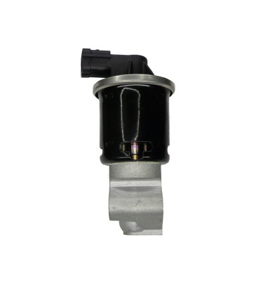 EGR valve WRC 8888122