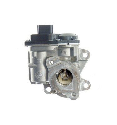 Zawór recyrkulacji spalin EGR DENSO 8201353607