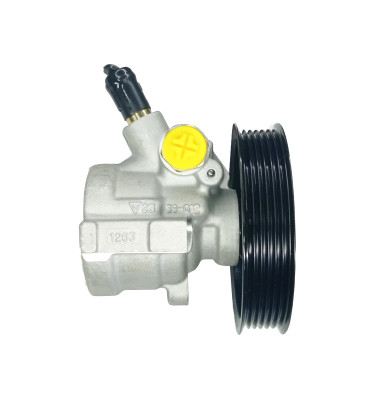 Pompa wspomagania układu kierowniczego WRC DSP810