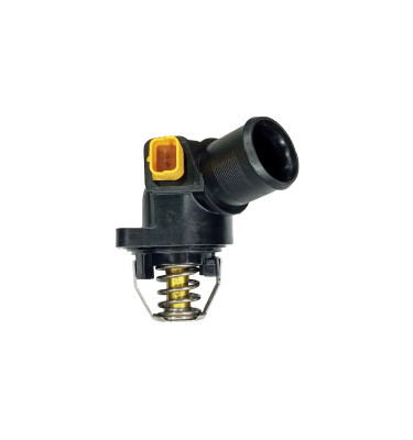 Termostat z obudową 50009