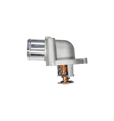 Termostat z obudową 50027