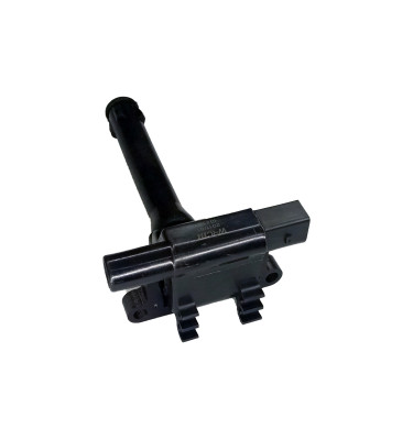 Cewka zapłonowa WRC 10439.