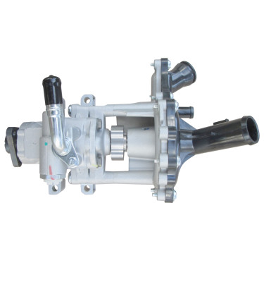 Servolenkung und Wasserpumpenmodul WRC 7000004