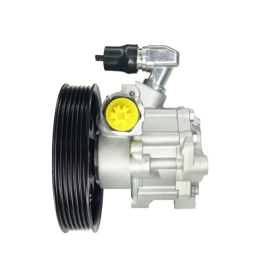 Pompa wspomagania układu kierowniczego WRC DSP981