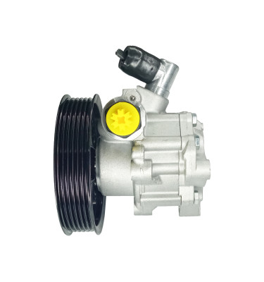 Pompa wspomagania układu kierowniczego DSP5432