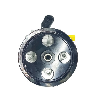 WRC Servolenkungspumpe 4905432