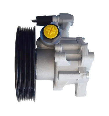 Pompa wspomagania układu kierowniczego WRC DSP1261