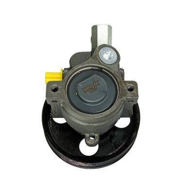Power steering pump WRC DSP1391