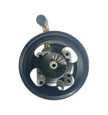 Servolenkungspumpe WRC 4901622