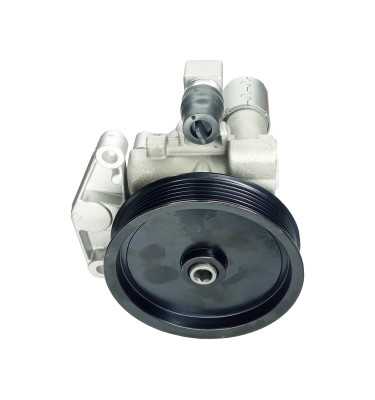 WRC Servolenkungspumpe 4902566