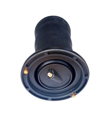 Luftfederungskissen hinten links rechts WRC 8100032