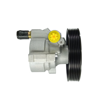 Power steering pump WRC 4902335