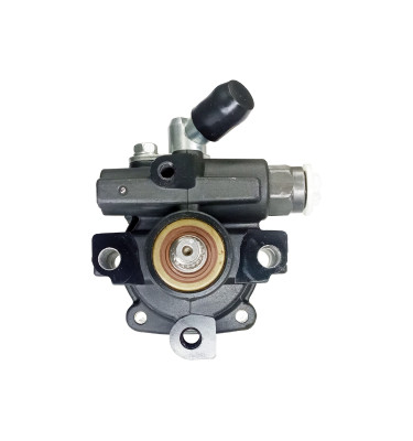 WRC Servolenkungspumpe 4902304