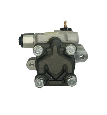 Pompa wspomagania 490197 / DSP197