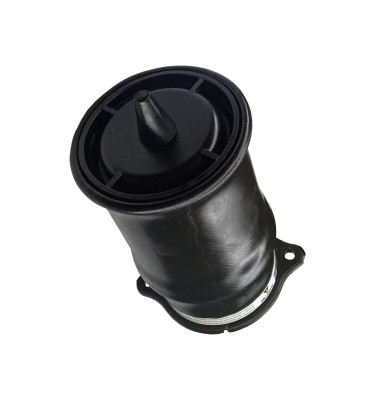 AIR SUSPENSION SPRING WRC 8100039