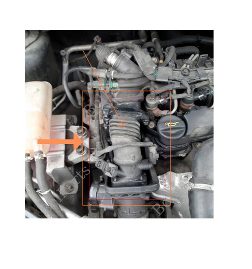 Przewód kolektora ssącego WRC 5700039